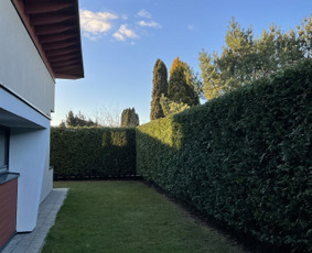 Medžių pjovimas, genėjimas, kraštovaizdžio priežiūra / MEDIS SENOLIS / Darbų pavyzdys ID 4216649