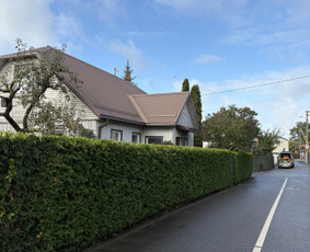 Medžių pjovimas, genėjimas, kraštovaizdžio priežiūra / MEDIS SENOLIS / Darbų pavyzdys ID 4216651