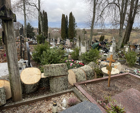 Medžių pjovimas, genėjimas, kraštovaizdžio priežiūra / MEDIS SENOLIS / Darbų pavyzdys ID 4216655