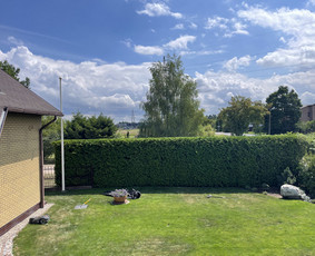 Medžių pjovimas, genėjimas, kraštovaizdžio priežiūra / MEDIS SENOLIS / Darbų pavyzdys ID 4216657