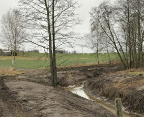 Medžių pjovimas, genėjimas, kraštovaizdžio priežiūra / MEDIS SENOLIS / Darbų pavyzdys ID 4216685