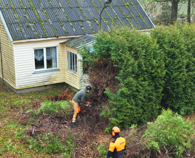 Apleistų sklypų tvarkymas - Medžių pjovimas, genėjimas, kra&scaron;tovaizdžio priežiūra - 3