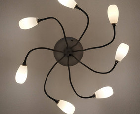 Kitos kategorijos - 3D spausdinimas - 2