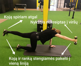 Sportas, treniruotės - Asmeninis treneris Kaune / Personal trainer in Kaunas - 2