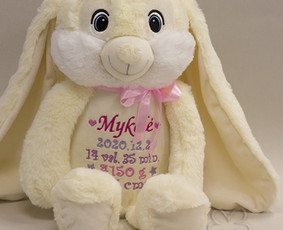 Tradiciniai amatai - Siuvinėjimas - 4