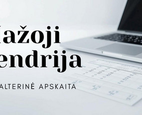 Individualios veiklos apskaitos tvarkymas - Buhalterė.lt Kaune - 2