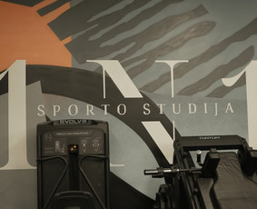 Asmeninės treniruotės individualioje sporto salėje 1n1 / Linas Petraitis / Darbų pavyzdys ID 4218761