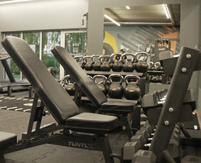 Asmeninės treniruotės individualioje sporto salėje 1n1 / Linas Petraitis / Darbų pavyzdys ID 4218779