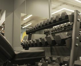 Asmeninės treniruotės individualioje sporto salėje 1n1 / Linas Petraitis / Darbų pavyzdys ID 4218787