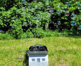 Putų &scaron;ou, putų ma&scaron;inos nuoma - &Scaron;ventinių dekoracijų nuoma - 3