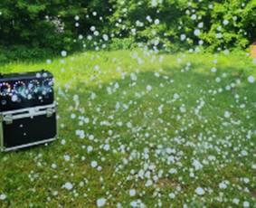 Nuomos paslaugos - &Scaron;ventinių dekoracijų nuoma - 2