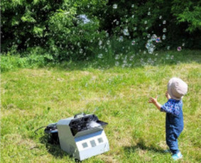 Nuomos paslaugos - &Scaron;ventinių dekoracijų nuoma - 1