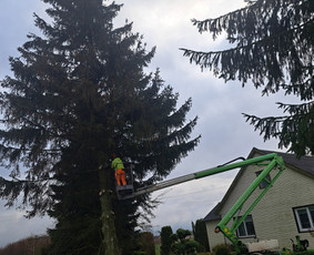 Statybinės technikos nuoma - Alkūninio keltuvo,bok&scaron;telio nuoma - 2
