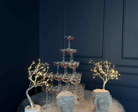 Barmenai, gėrimai renginiams - Premium mobilus baras - 3