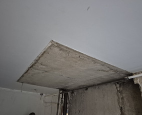 Griovimo darbai šiukšliu išvežimas / Audrius / Darbų pavyzdys ID 4220309