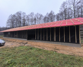 Statybos darbai / NŽ Statyba / Darbų pavyzdys ID 4221361
