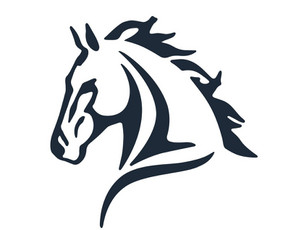 Vidaus apdailos darbai - Profesionalaus statybos meistro paslaugos - 1