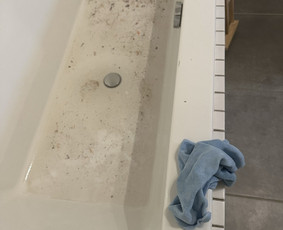 Namų valymas, tvarkymas - Valymas - 4