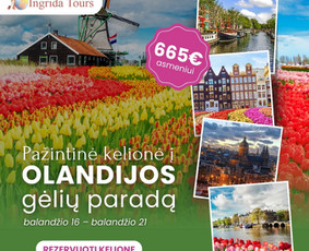 Socialinių tinklų ir Meta Ads administravimas / Paulina / Darbų pavyzdys ID 4223005