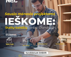 Socialinių tinklų ir Meta Ads administravimas / Paulina / Darbų pavyzdys ID 4223009