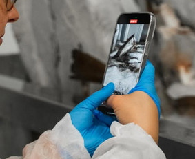 Komunikacijos specialistai - Socialinių tinklų ir Meta Ads administravimas - 3