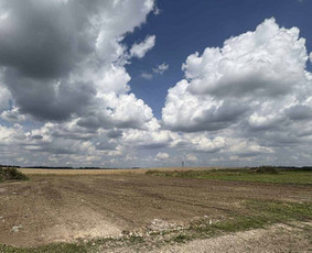 Apleistų sklypų tvarkymas - Medžių pjovimas, genėjimas, kra&scaron;tovaizdžio priežiūra - 2
