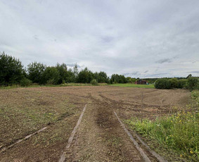 Apleistų sklypų tvarkymas - Medžių pjovimas, genėjimas, kra&scaron;tovaizdžio priežiūra - 4