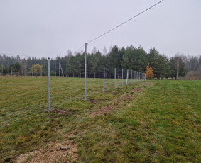 Tinklinės tvoros - Tvorų, vartų/vartelių montavimas ir gamyba. - 1