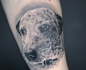 Tattoo darymas / Evaldas Gulbinas / Darbų pavyzdys ID 4224245