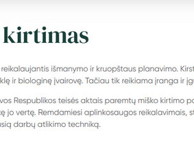 Paslaugos verslui - Turinys, kuris kuria vertę jūsų verslui ir jums - 3