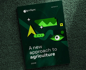 Firminio stiliaus kūrimas - Grafikos dizainas, kuris didina atpažįstamumą ir pardavimus - 4