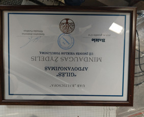 Elektronikos inžinieriai - Automatikas - 2