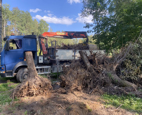 Smulkių krovinių pervežimas Lietuvoje - Fiskaro paslaugos, savivartis su kranu griebtuvais - 4