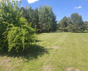 Žolės šienavimas, tujų formavimas, sodybų priežiūra / Erikas Mantickis / Darbų pavyzdys ID 4224873
