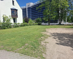 Žolės šienavimas, tujų formavimas, sodybų priežiūra / Erikas Mantickis / Darbų pavyzdys ID 4224875
