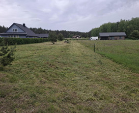 Žolės šienavimas, tujų formavimas, sodybų priežiūra / Erikas Mantickis / Darbų pavyzdys ID 4224885