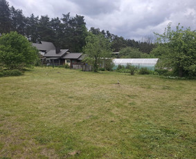 Žolės šienavimas, tujų formavimas, sodybų priežiūra / Erikas Mantickis / Darbų pavyzdys ID 4224893
