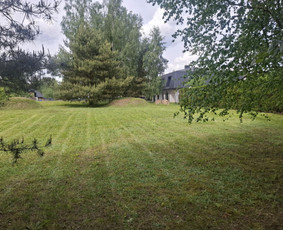 Žolės pjovimas - Žolės &scaron;ienavimas, tujų formavimas, sodybų priežiūra - 4