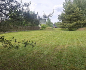 Žolės pjovimas - Žolės &scaron;ienavimas, tujų formavimas, sodybų priežiūra - 3