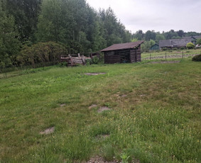 Vejos priežiūra, įrengimas - Žolės &scaron;ienavimas, tujų formavimas, sodybų priežiūra - 4