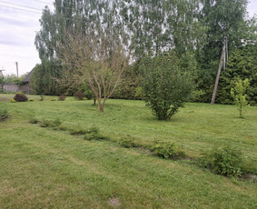 Vejos priežiūra, įrengimas - Žolės &scaron;ienavimas, tujų formavimas, sodybų priežiūra - 3