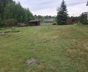 Vejos priežiūra, įrengimas - Žolės &scaron;ienavimas, tujų formavimas, sodybų priežiūra - 2