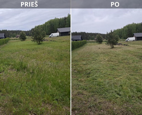 Vejos priežiūra, įrengimas - Žolės &scaron;ienavimas, tujų formavimas, sodybų priežiūra - 1