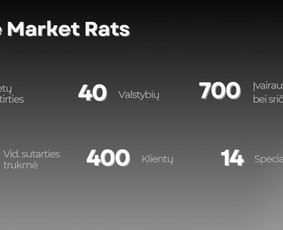 SEO paslaugos - Seo ir Ai Seo paslaugos Lietuvos ir užsienio projektams - 2