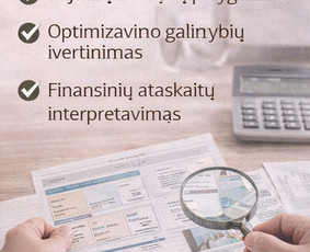 Buhalterinės paslaugos - Klaipėda, bei nuotoliniu būdu / Anastasija / Darbų pavyzdys ID 4225583