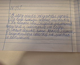 Rusų kalbos kursai, pamokos - Rusų kalbos pamokos vaikams ir Rki suaugusiem - 3