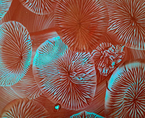 Meno terapijos užsiėmimai - Dailės terapeutė - 2