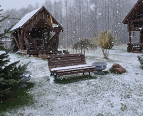 Sodybos nuomai - Sodyba nuomai - 4