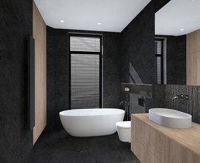 Interjero architektūra  Projektavimas  Vizualizacijos / Ieva Glumac / Darbų pavyzdys ID 4227609