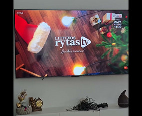 Karkasinių namų statyba - Karkasinių Namų Statyba - 4